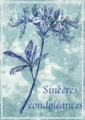 Fleurs bleues pour un hommage sinc&egrave;re